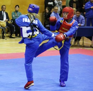 Vovinam Viet Vo Dao - Vanhoa OZOIR