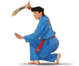 vanhoa vovinam viet vo dao