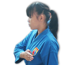 Vovinam viet vo dao